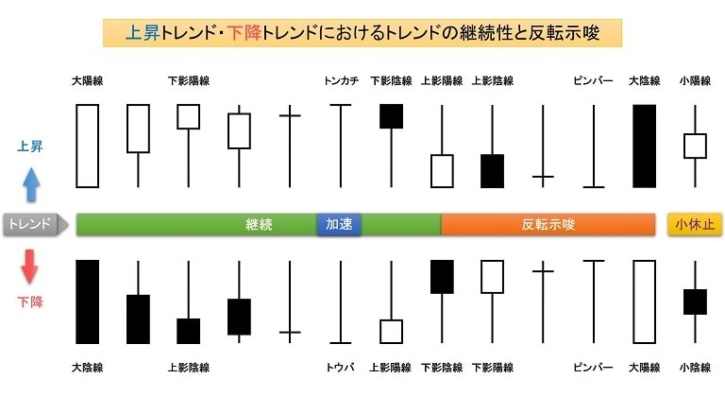 Google Camera HDR (left) and OnePlus 5T HDR (right)