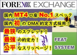 FOREX EXCHANGE-FEAT SYSTEM